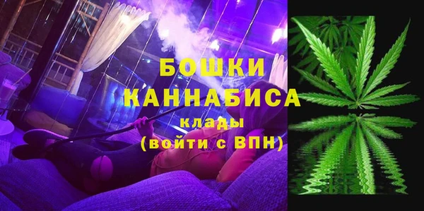дживик Верея