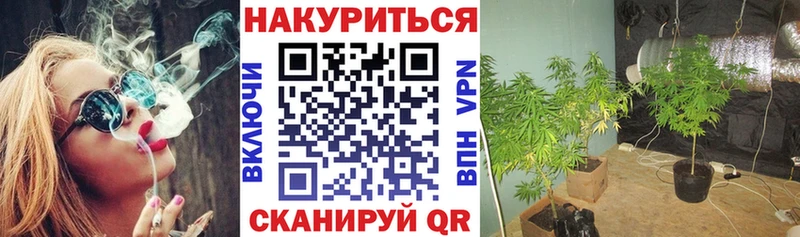 МАРИХУАНА SATIVA & INDICA Петропавловск-Камчатский